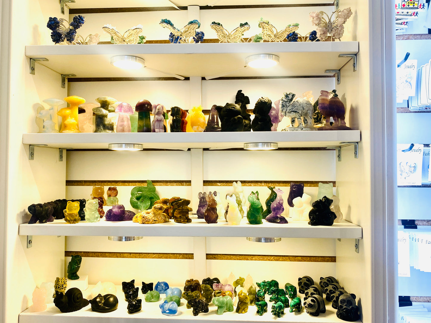 Visit Our Store in Person!