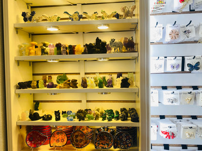 Visit Our Store in Person!
